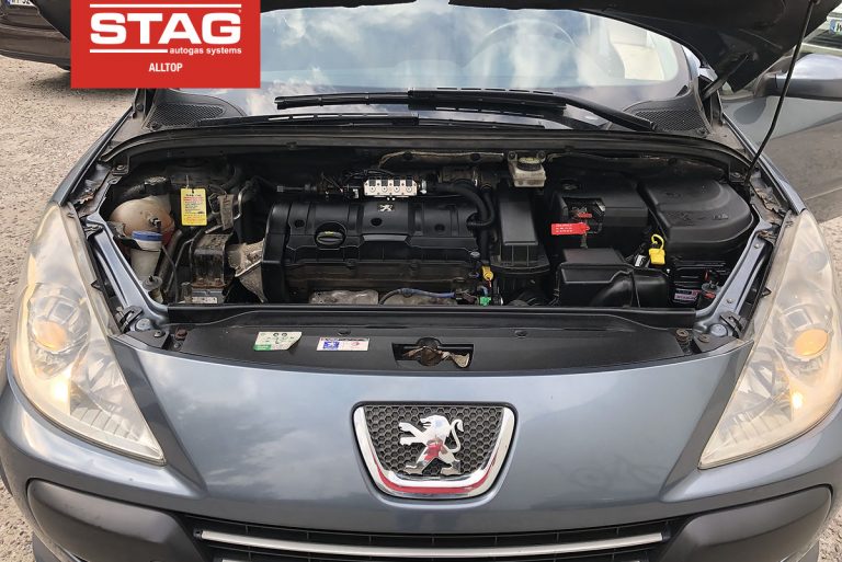 Peugeot 307 2007 1,6 80 kw