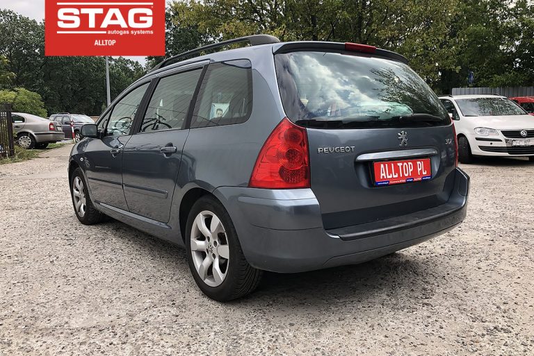 Peugeot 307 2007 1,6 80 kw