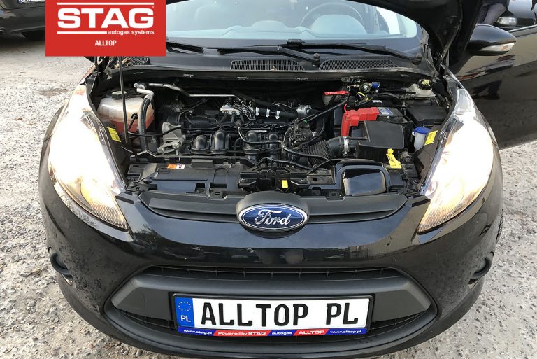 Ford Fiesta 2010 1,4 96KM